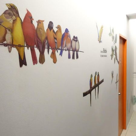 Hornbill Hostel Kampung Boyan Eksteriør bilde